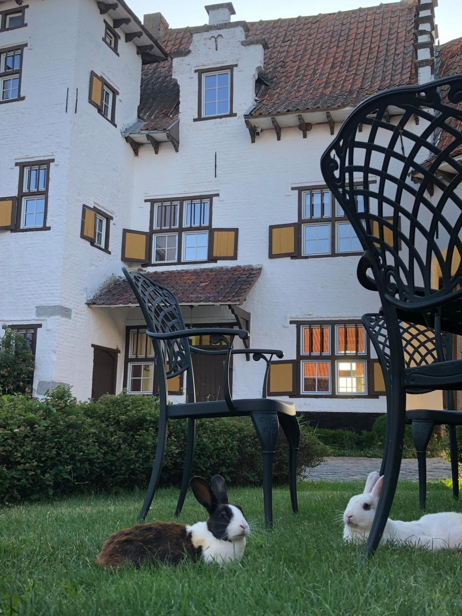 Ferme Delgueule Hotel Tournai Exterior foto